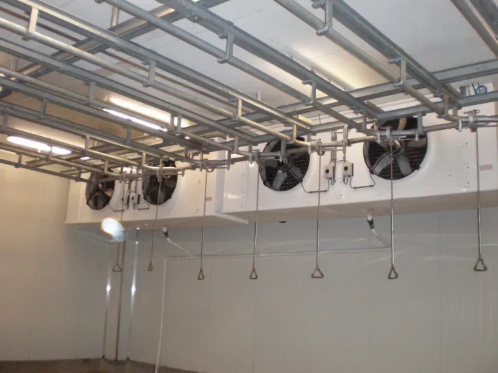 Beef Slaughter House Cold Room Installation - Climafrost