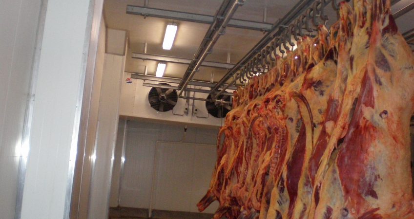 Beef Slaughter House Cold Room Installation - Climafrost Project